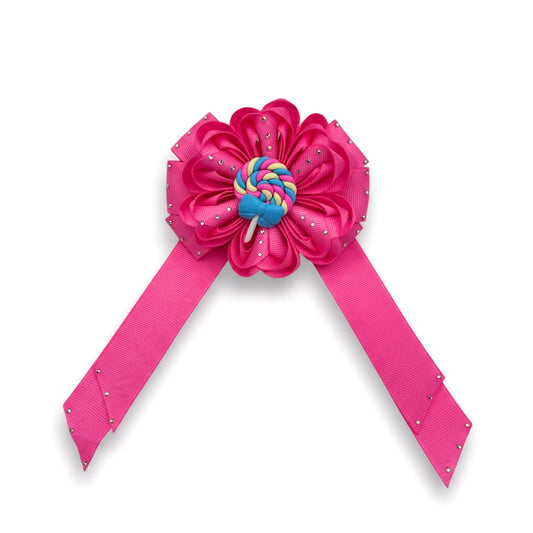 Sweet Paletita Swirl Bow
